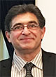 Hamid Garmestani