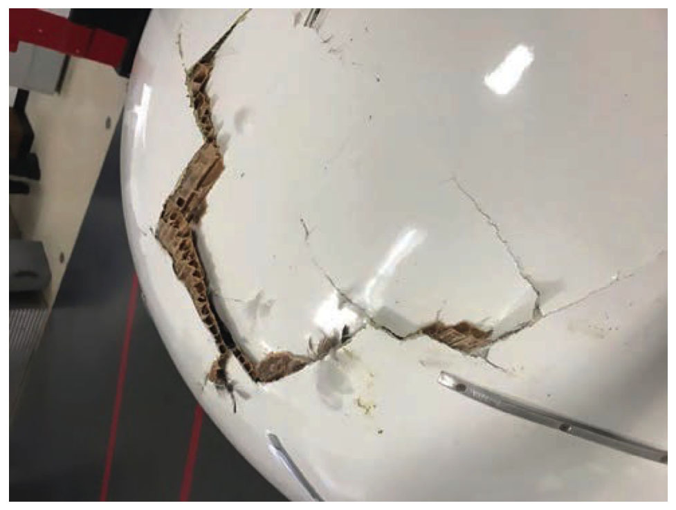 Figure 3. Damage to a MD88 from a bird strike. (Source: Delta Air Lines)