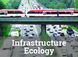 Infrastructure Ecology linked image
