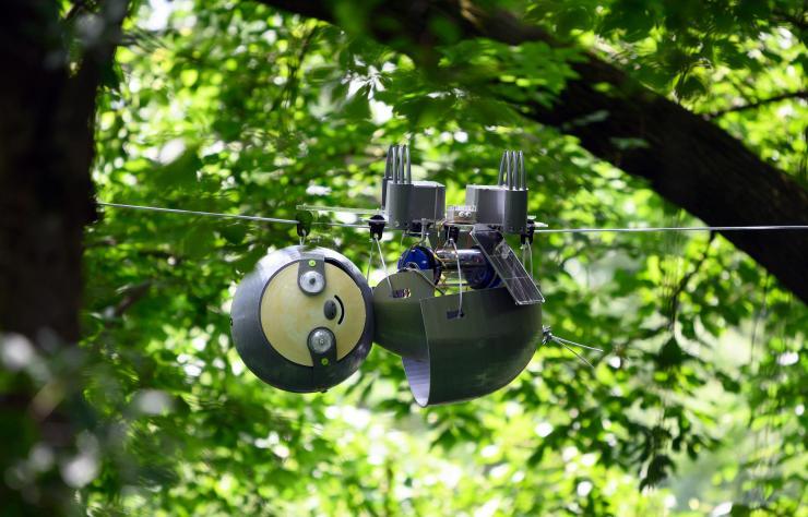 <p>SlothBot is a slow-moving and energy-efficient robot that can linger in the trees to monitor animals, plants, and the environment below. It has been installed for testing in the Atlanta Botanical Garden. (Credit: Rob Felt, Georgia Tech)</p>