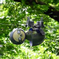 <p>SlothBot is a slow-moving and energy-efficient robot that can linger in the trees to monitor animals, plants, and the environment below. It has been installed for testing in the Atlanta Botanical Garden. (Credit: Rob Felt, Georgia Tech)</p>
